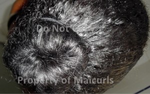 Ballet Bun (No Donut used)