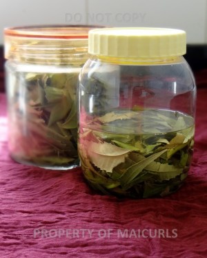 Infusing Neem Leaves