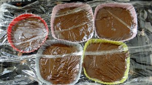 Clingfilm covered henna (Ice) Blocks