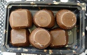 Frozen Henna (Ice) Blocks